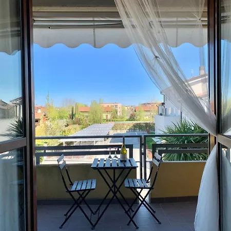 Camelia Apt